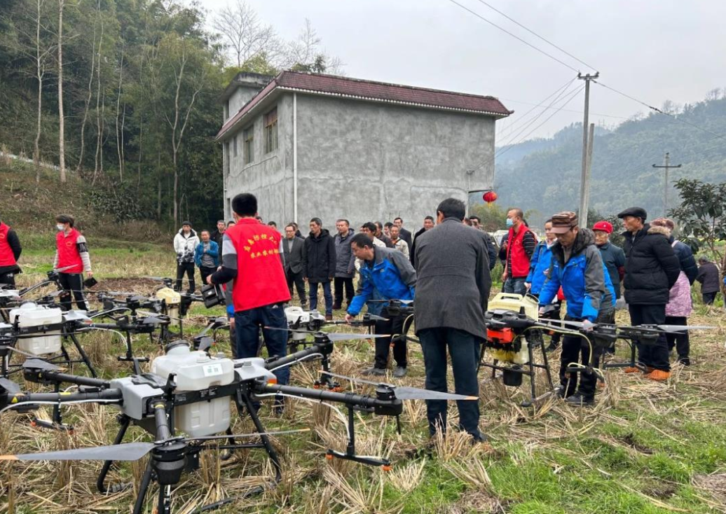 1758956116905672.png image.png