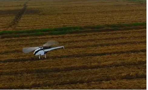 1759025688822656.png image.png