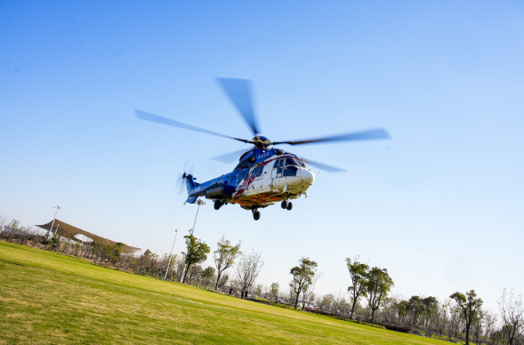 1761527013536818.png image.png