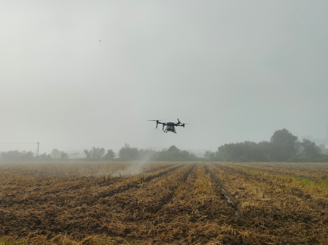 1762475024813141.png image.png