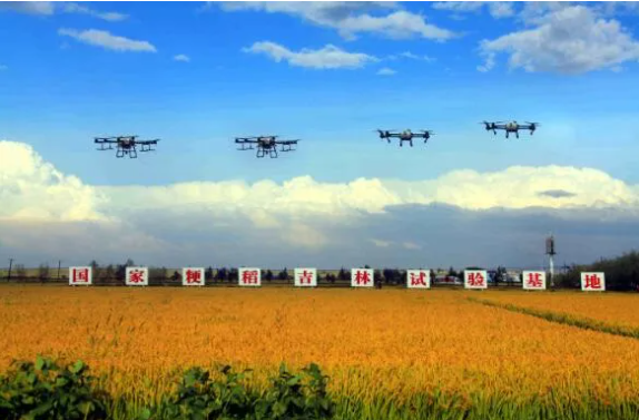 1763012583849910.png image.png