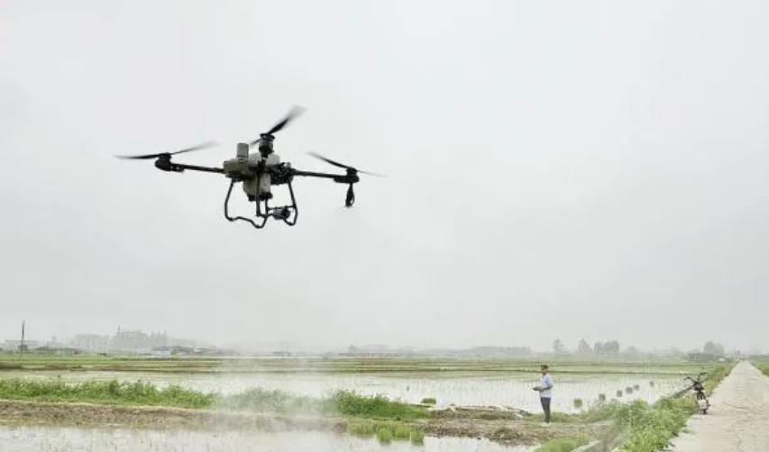 1763291227381946.png image.png