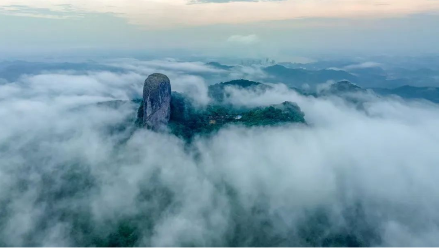 1763291278490209.png image.png