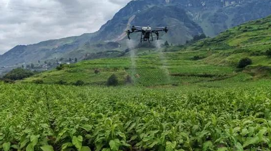 1763431911509357.png image.png