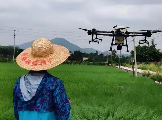 1763431926623760.png image.png