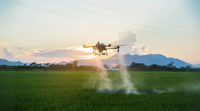 1763435955513532.png image.png