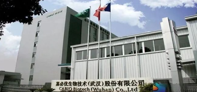 1763537420600743.png image.png