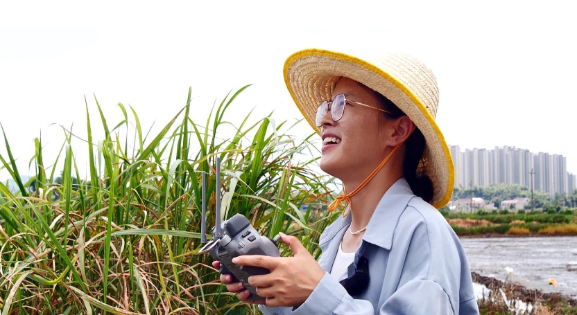 1763805109694375.png image.png