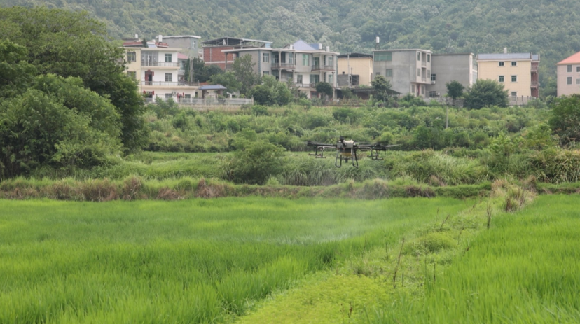 1763805122309668.png image.png