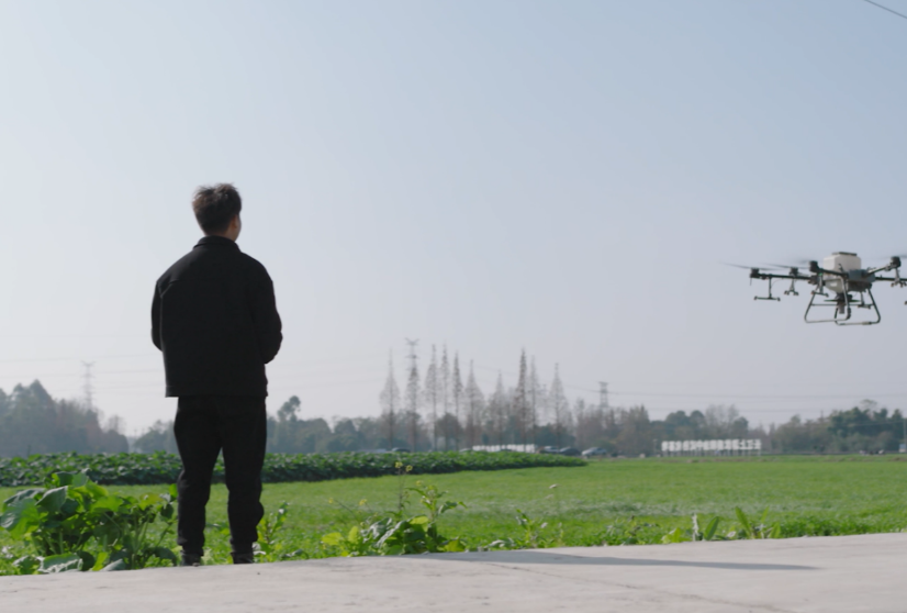 1763805136299671.png image.png