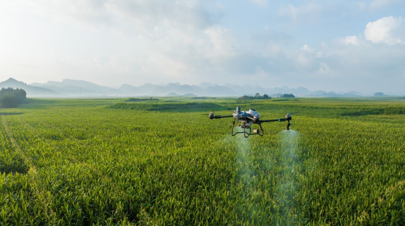 1763805165462263.png image.png