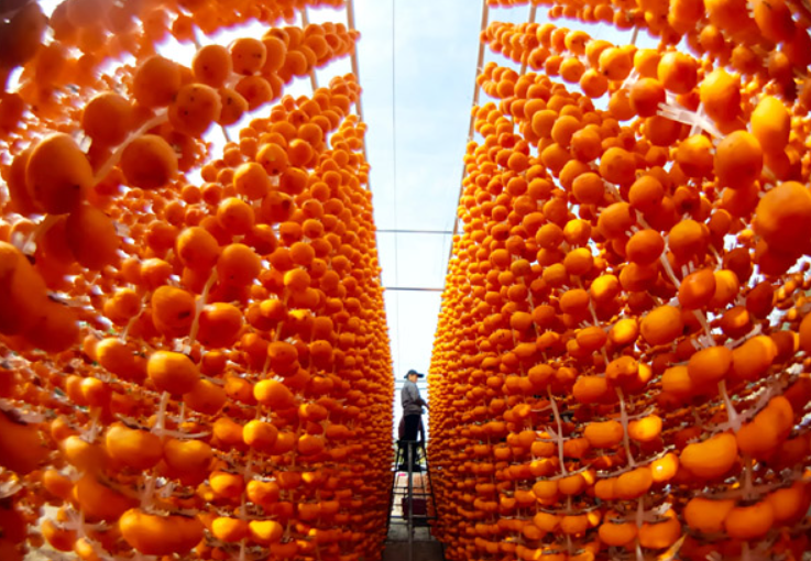 1763885948867599.png image.png