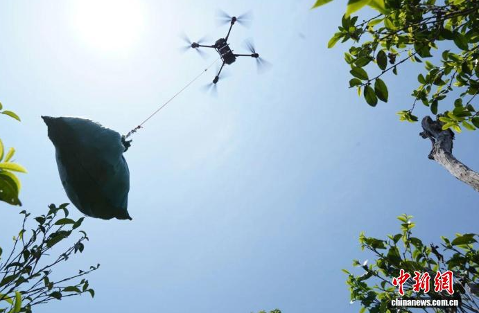 1764040760635981.png image.png