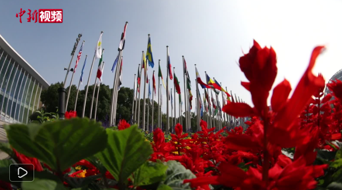 1764042018144166.png image.png