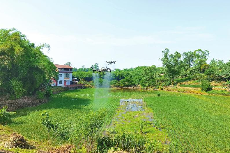 1764121924419828.png image.png